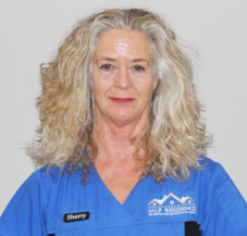 Sherry Orr