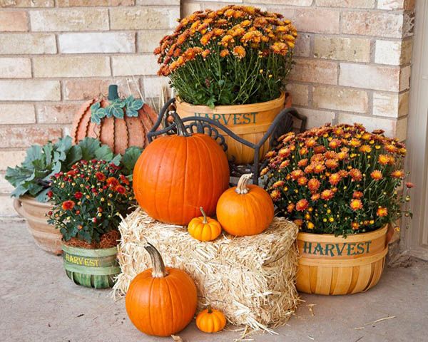 Outdoor Fall Decorating