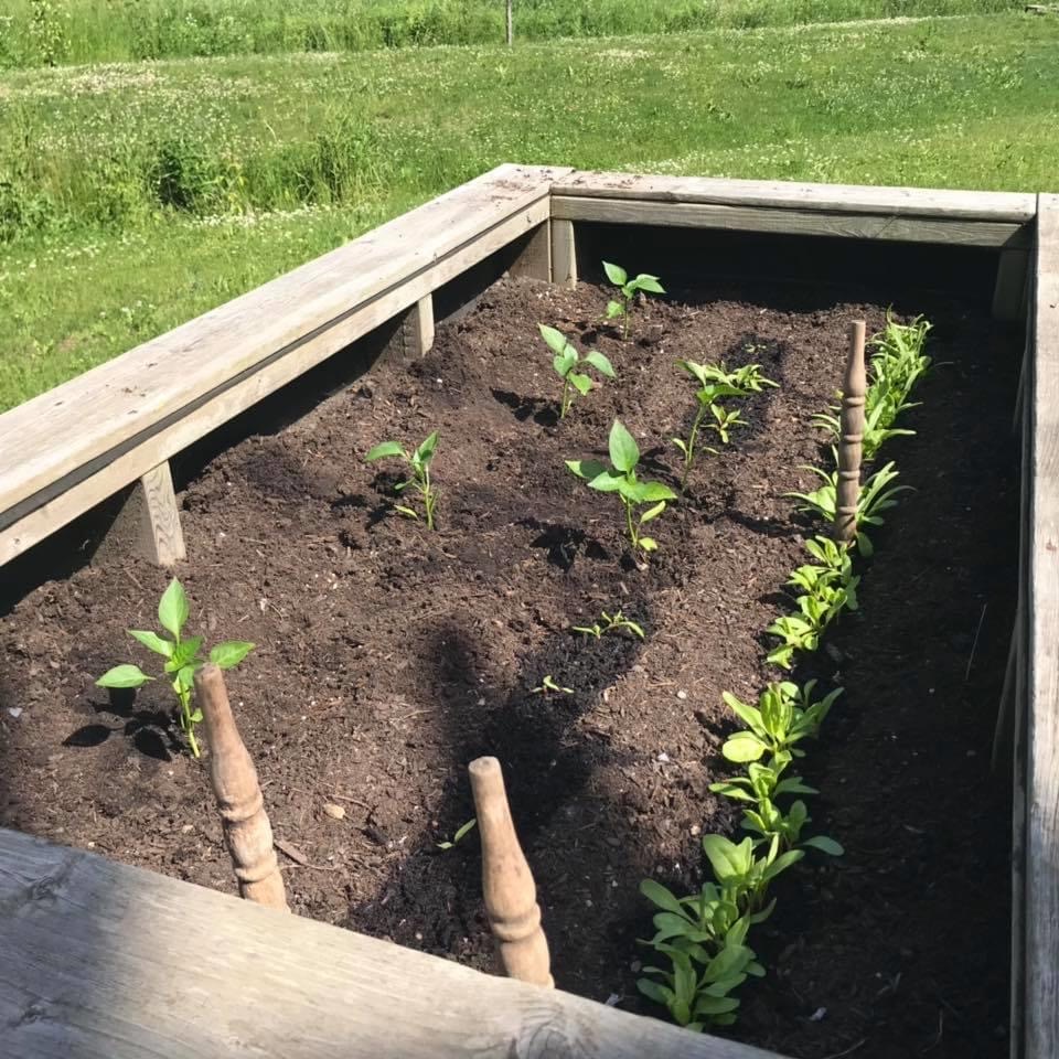 Gardening Group