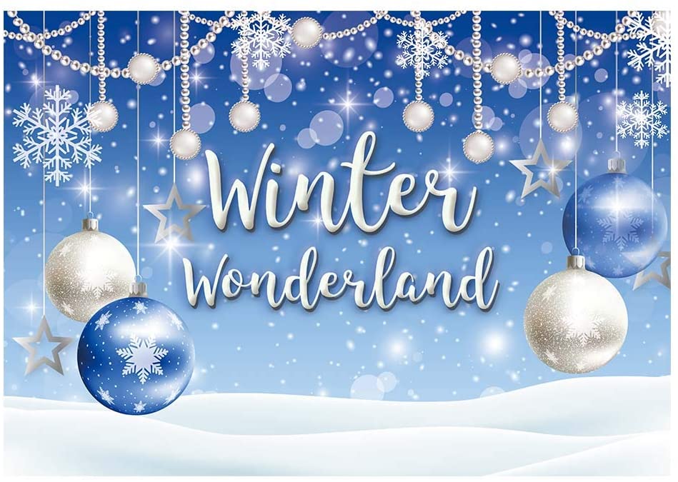 Winter Wonderland Party