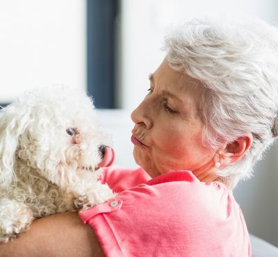 What Pet Therapy Can do for Seniors