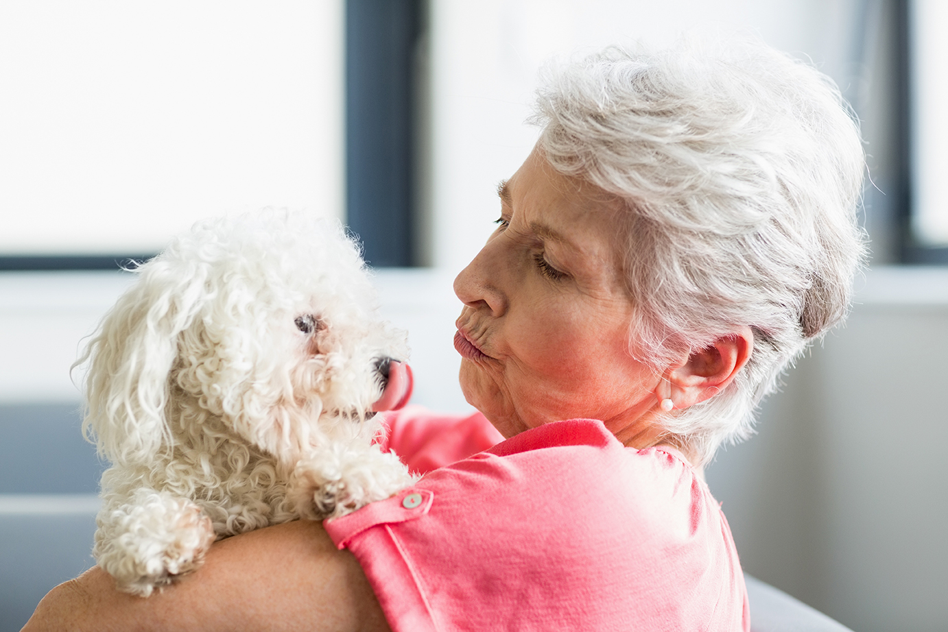 What Pet Therapy Can do for Seniors