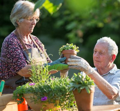 Tips for our Aging Gardeners