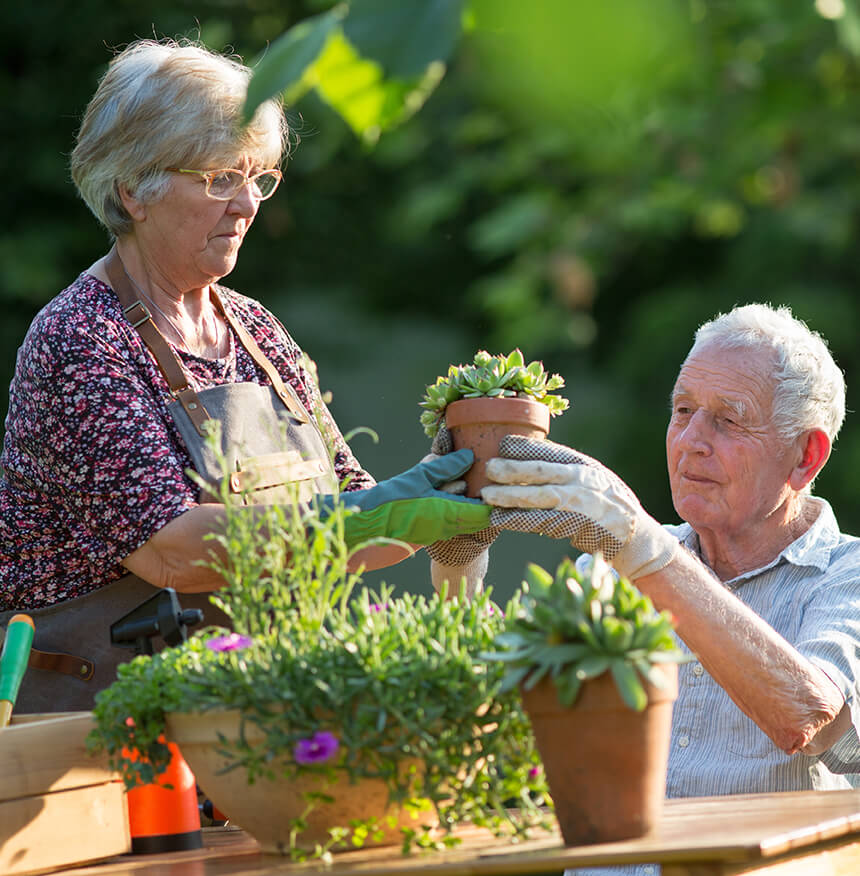Tips for our Aging Gardeners