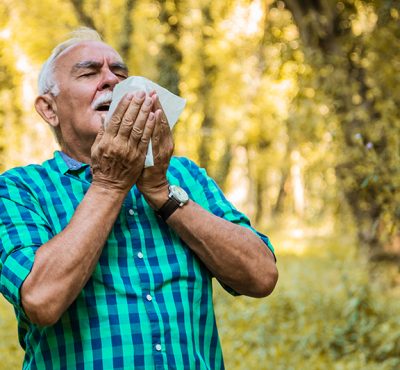 Minimize Pesky Allergens During Allergy Season