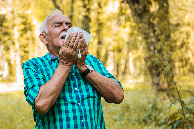 Minimize Pesky Allergens During Allergy Season