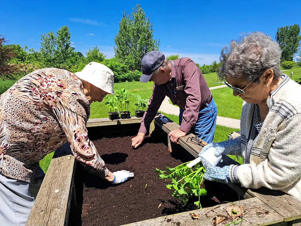 Tips for our Aging Gardeners